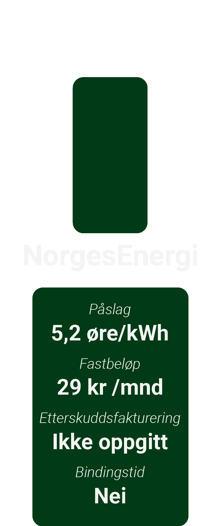NorgesEnergi
